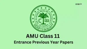 amu class 11 entrance papers