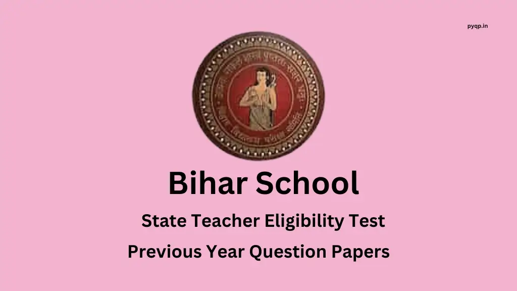 bseb stet previous year question papers