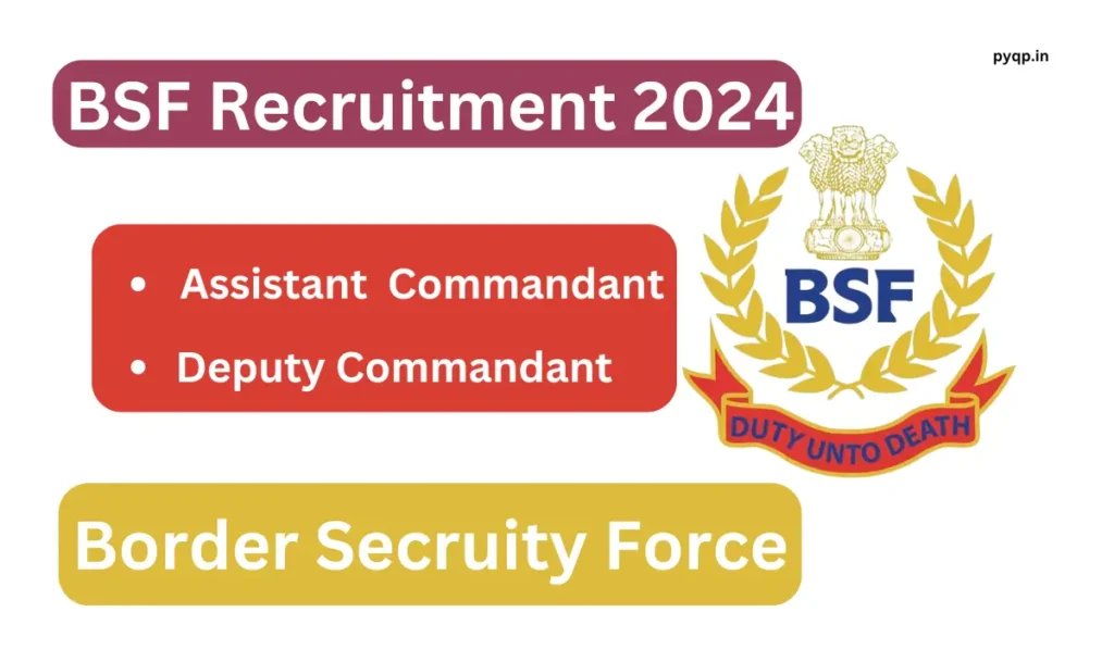 bsf assistant and deputy commandant